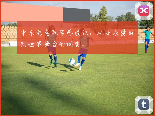 中东电竞冠军养成记,从小众爱好到世界舞台的蜕变!